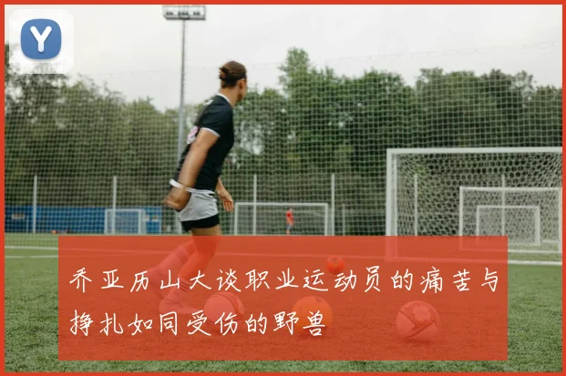 乔亚历山大谈职业运动员的痛苦与挣扎如同受伤的野兽