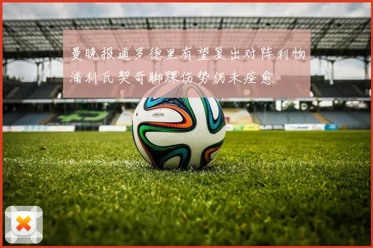 曼晚报道罗德里有望复出对阵利物浦科瓦契奇脚踝伤势仍未痊愈