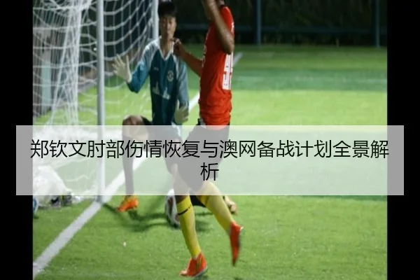 郑钦文肘部伤情恢复与澳网备战计划全景解析（kaiyun）